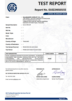 STONE C2-2.0-RD-CR (2024-01-30)